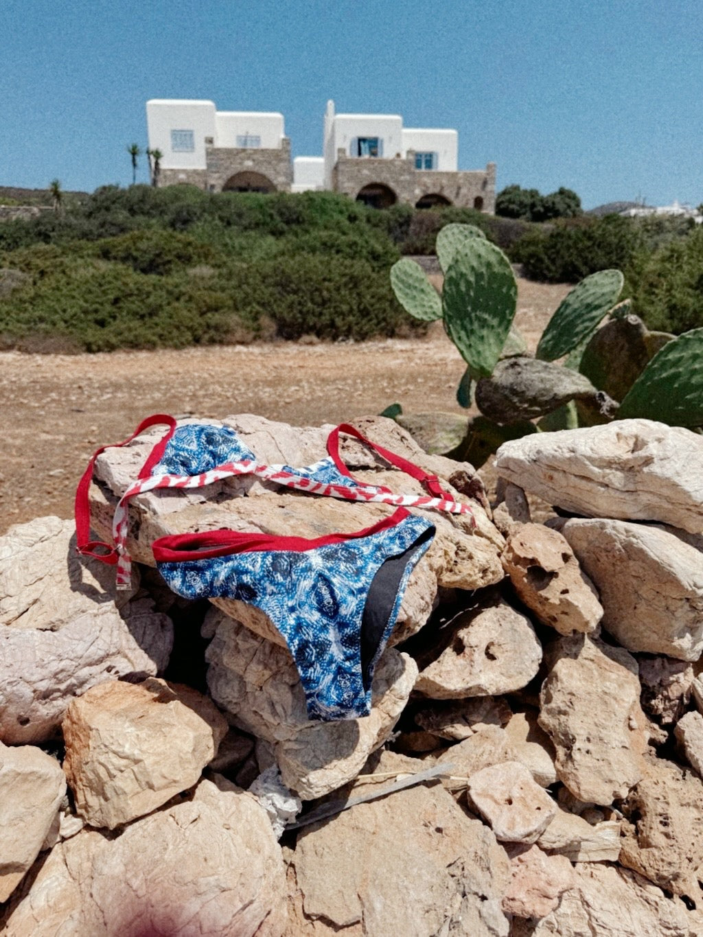  Γυναικείο μπικίνι σε μπλε και κόκκινο animal print πολύ ξεχωριστό