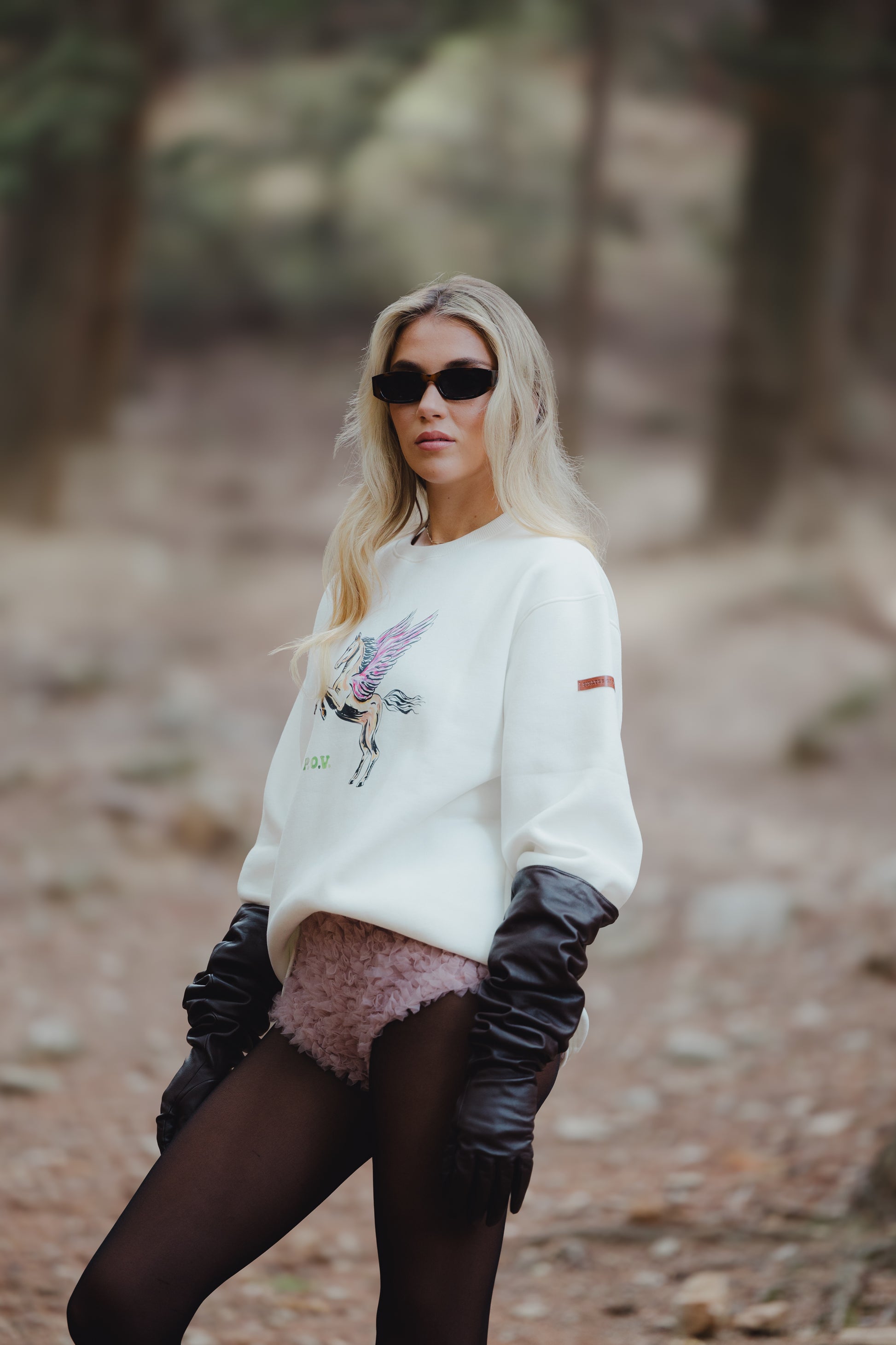 Wild And Free Ivory Sweater Pegasus Pirates Of Venus